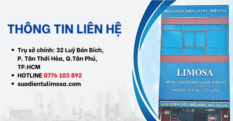lĩnh vực hoạt động